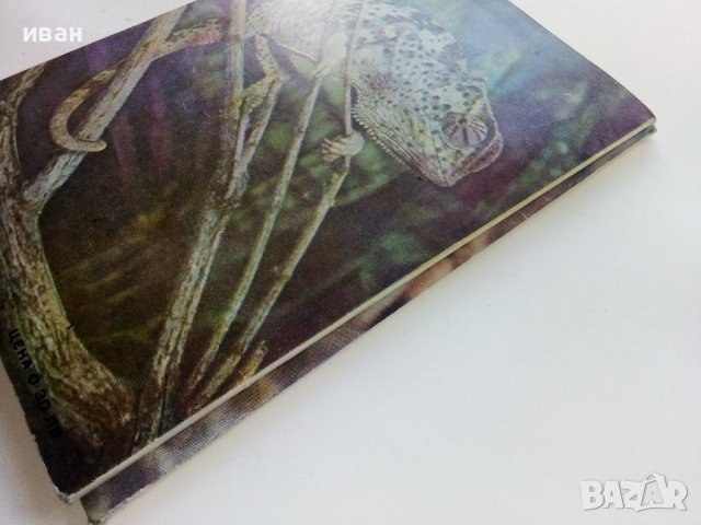 Списания "Наука и техника за младежта", снимка 7 - Списания и комикси - 39155519