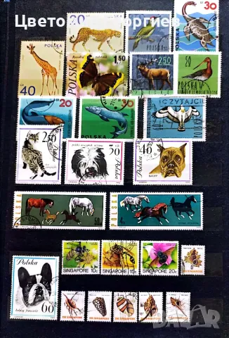 Животни 227 бр. К.2, снимка 7 - Филателия - 48274143