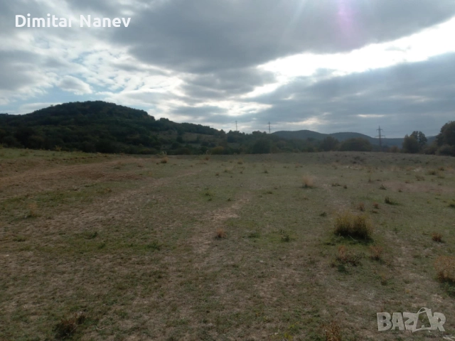 Продавам нива, с. Змейово, област Стара Загора, снимка 7 - Земеделска земя - 52054903