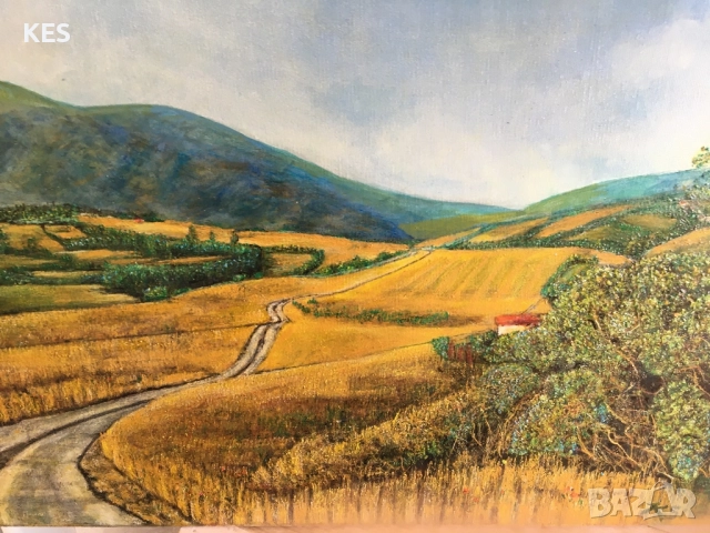 Гледка към Витоша