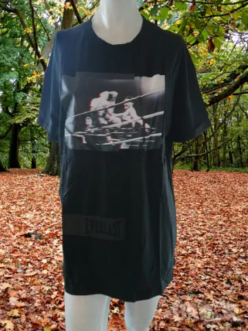 Мъжка Тениска Everlast /L/595B14
