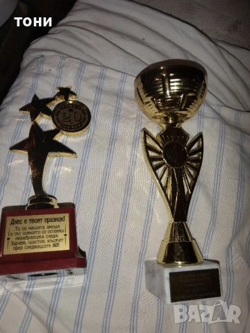 купи и наградни медали, снимка 11 - Колекции - 52479901