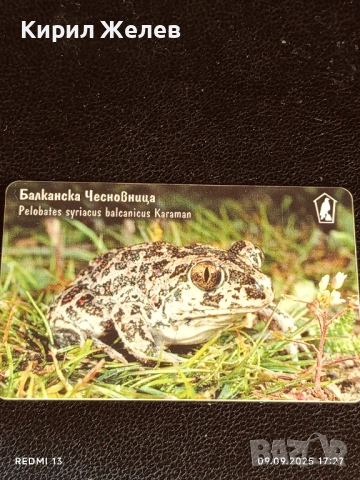 Три фонокарти МОБИКА тема ЖИВОТНИ БАЛКАНСКА ЧЕСНОВНИЦА,ЕЛЕНОВ РОГАЧ 47017, снимка 7 - Колекции - 51656788