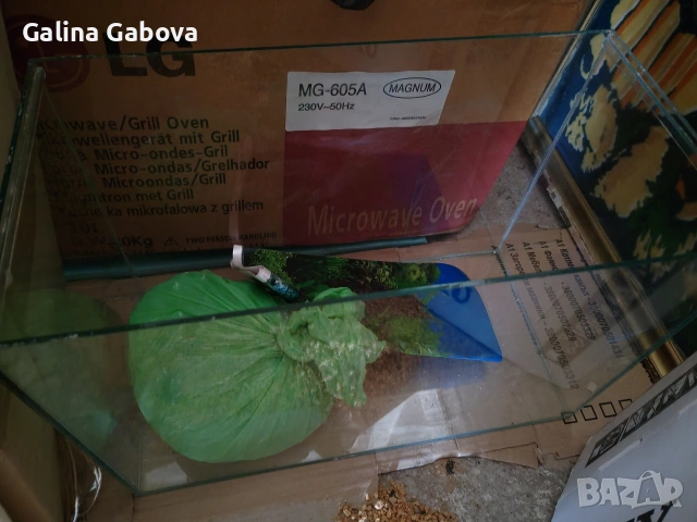 Аквариум и декорация , снимка 13 - Аквариуми - 29214917