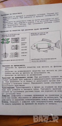 Наръчник по биология, снимка 6 - Специализирана литература - 43094126