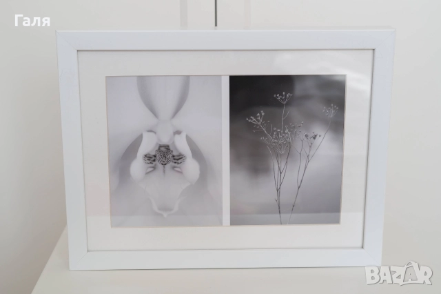 Фотография, рамкирана, картина