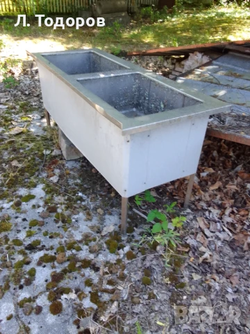 Голяма неръждаема мифка