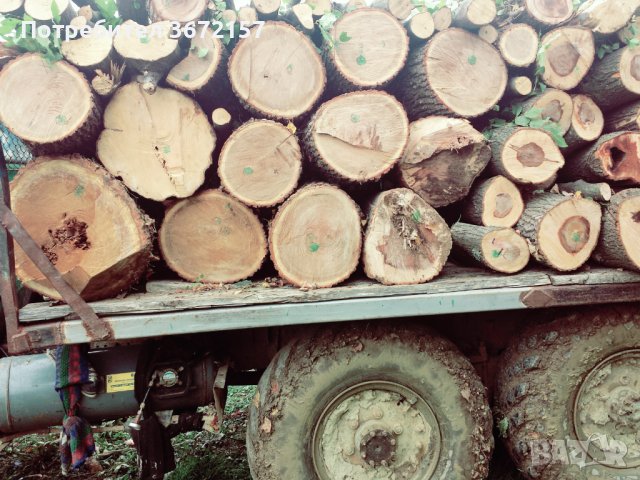 Продавам дърва за огрев, снимка 4 - Дърва за огрев - 40140915