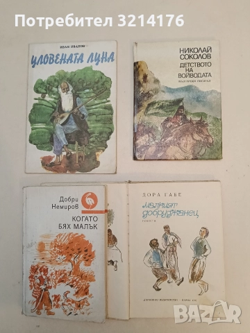 Детството на войводата - Николай Соколов