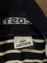 Lacoste оригинални мъжки тиниски, снимка 3