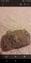  Камък от вулкана Везувий, снимка 4