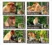 Чисти блокове Фауна Дългоноса маймуна 2020 от Тонго, снимка 1 - Филателия - 37605447