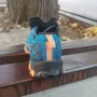 La Sportiva Bushido II GTX туристически обувки/маратонки  номер 42, снимка 11