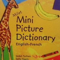 Mini picture dictionary Sedat Turhan, снимка 1 - Художествена литература - 28019706