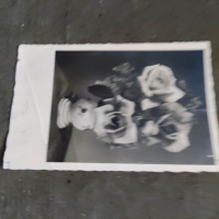 Продавам Поздравителна картичка Прилеп -София 1946 г., снимка 1 - Антикварни и старинни предмети - 36381962