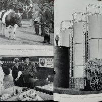 Германските земеделски кооперации въ изграждането на земеделското стопанство Хансъ Дитмеръ, снимка 5 - Антикварни и старинни предмети - 40861689