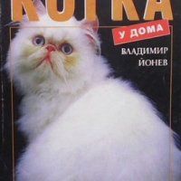 Котката у дома Владимир Йонев, снимка 1 - Енциклопедии, справочници - 35294223