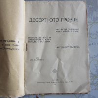 Стара книга Десертното грозде като храна и цяр 1927 год, снимка 2 - Специализирана литература - 32558306