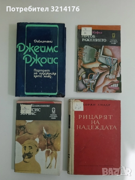 Дъблинчани; Портрет на художника като млад - Джеймс Джойс, снимка 1