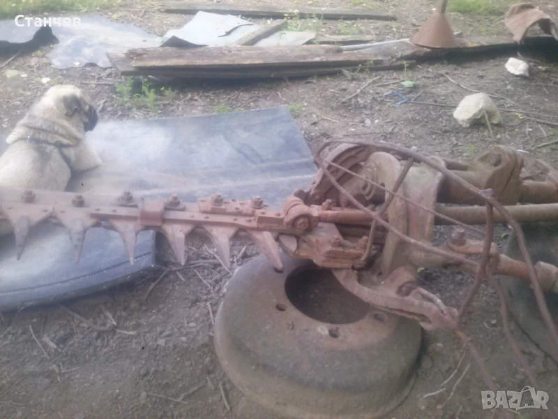 Лентова косачка, снимка 1