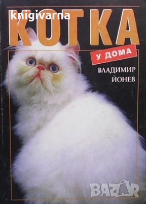 Котката у дома Владимир Йонев, снимка 1