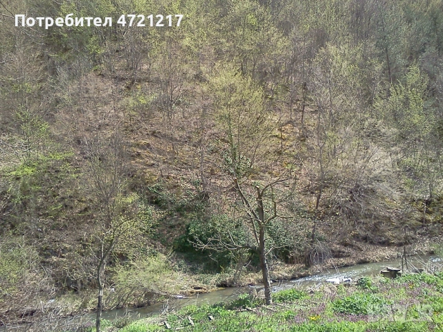 Парцел с лице към Прохода на Републиката, река и планина – с. Пчелиново, снимка 12 - Парцели - 53249355