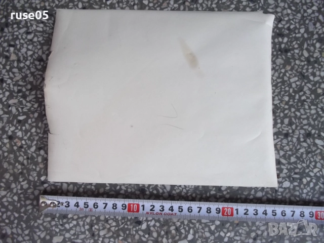 Снимка стара на българи облегнати на мантинелата в Америка, снимка 2 - Колекции - 51597217