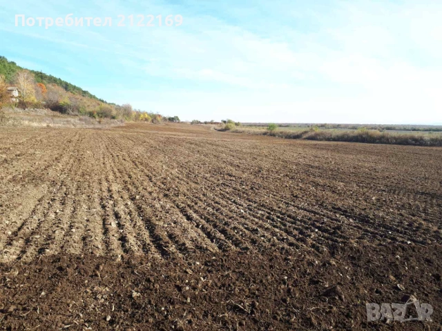 Земеделска земя, снимка 2 - Земеделска земя - 53100885