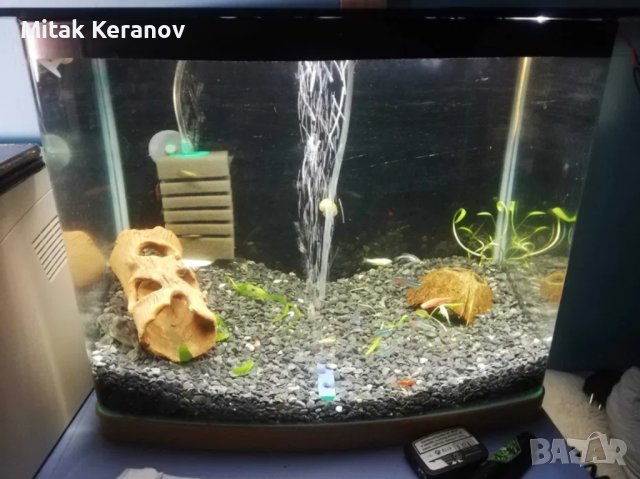 Аквариуми и терариуми с оборудване, снимка 4 - Аквариуми - 43006921