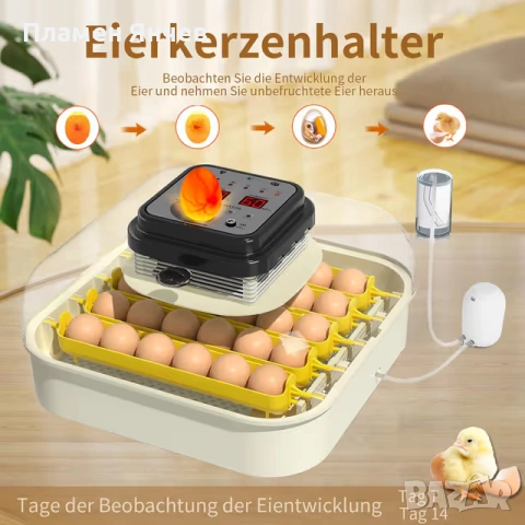 Chalixion Автоматичен инкубатор за 30 яйца, снимка 3 - За птици - 53235884