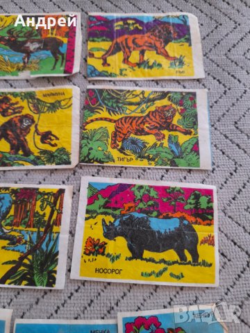 Картинка,картинки от дъвка #7, снимка 3 - Колекции - 43898337