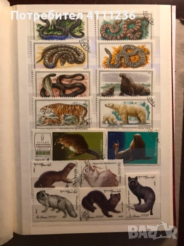 Класьор с марки предимно Фауна , снимка 10 - Филателия - 53513901