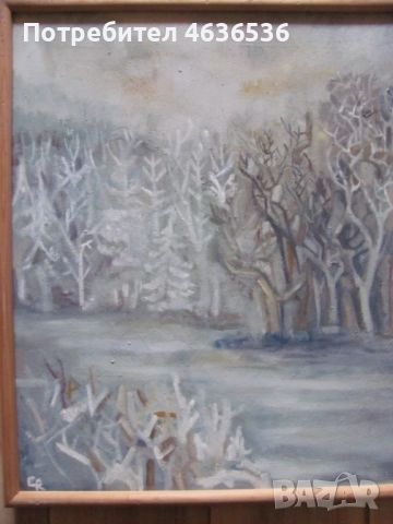 Красива Картина масло, платно ,художник Силвия Радева,подпис, снимка 6 - Картини - 52573784