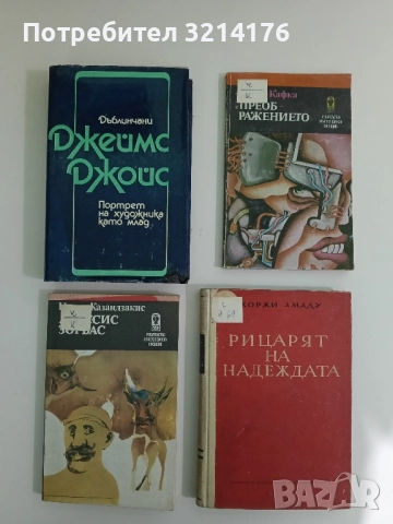 Дъблинчани; Портрет на художника като млад - Джеймс Джойс