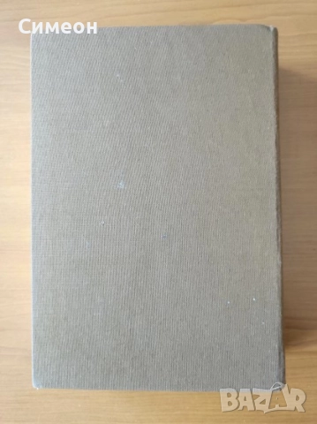 Миналото Очерки и спомени из деятелността на българските тайни революционни комитети от 1896-1877 г., снимка 6 - Художествена литература - 52725401