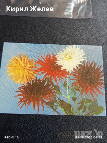 Старо календарче серия ЦВЕТЯ много красиво за КОЛЕКЦИЯ ДЕКОРАЦИЯ 35351