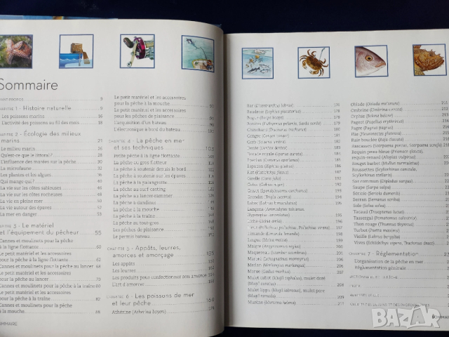 Риболов в морето (френска)- La Petit Larousse de la PECHE en mer, пълно ръководство, рисунки,схеми, снимка 5 - Енциклопедии, справочници - 52575773