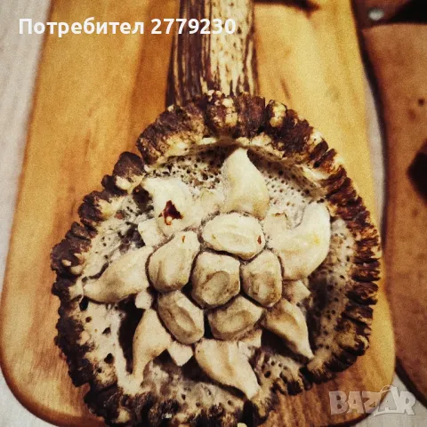 Ловен масивен нож с изобразен Бухал и Еделвайс  , снимка 4 - Ножове - 49863104