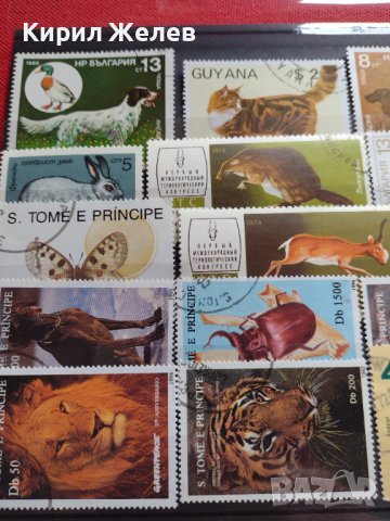 Пощенски марки смесени от цял свят ЖИВОТНИ за КОЛЕКЦИЯ 22615, снимка 12 - Филателия - 40344342