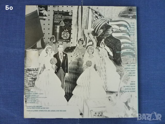 грамофонни плочи Bruce Springsteen, снимка 4 - Грамофонни плочи - 26905079