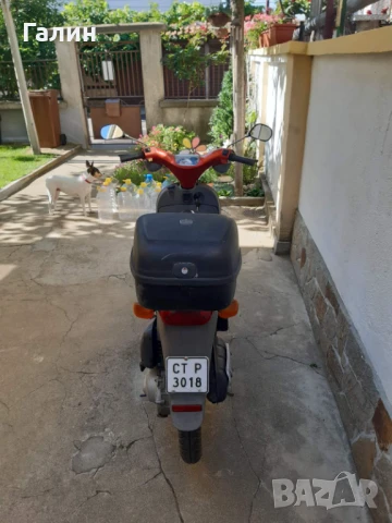 Мотопед PIAGGIO FRE, снимка 3 - Мотоциклети и мототехника - 50781953