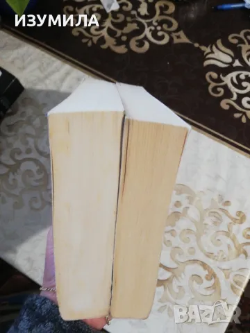 "Изгубената дъщеря" и "Златният син"-Шилпи Сомая Гоуда , снимка 3 - Художествена литература - 35668194