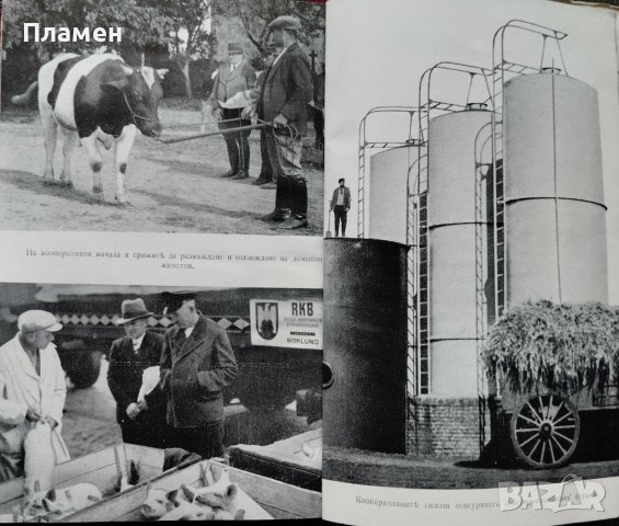 Германските земеделски кооперации въ изграждането на земеделското стопанство Хансъ Дитмеръ, снимка 5 - Антикварни и старинни предмети - 40861689