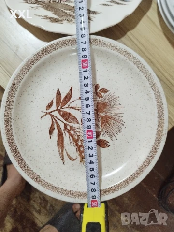 порцеланови чинии за стена, снимка 12 - Декорация за дома - 51062185