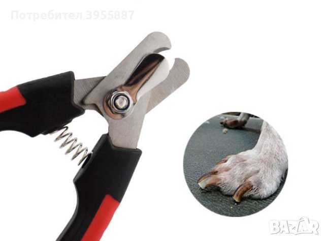 Ножици за нокти на домашен любимец + пила, снимка 2 - Други стоки за животни - 43297437