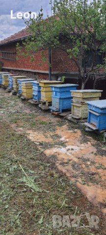 Пчелни кошери, снимка 5 - За пчели - 36628613