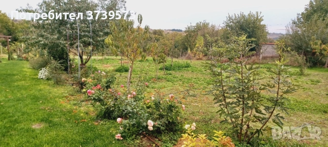 Собственик продава имот в с. Селци, обл. Пловдив , снимка 6 - Къщи - 52193225