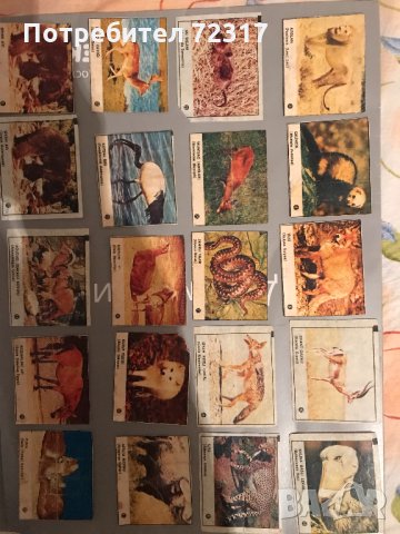 Картинки от дъвки, снимка 9 - Колекции - 35522268