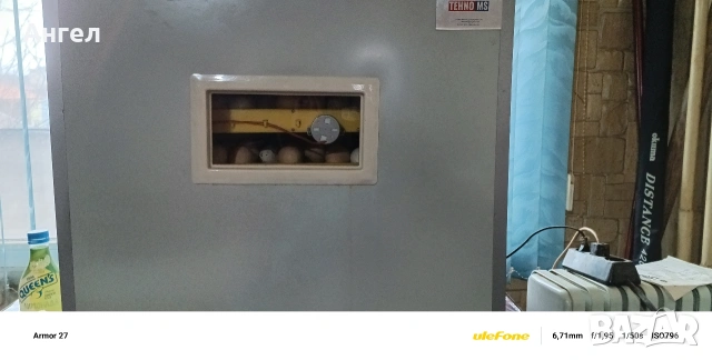 Инкубатор Техно МС 300, снимка 2 - За птици - 53572274