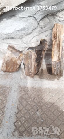 Вкаменено дърво,камено дърво, снимка 8 - Декорация за дома - 40392454